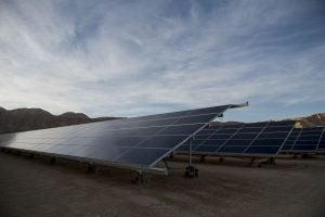 A solar array at the Arava Institute.