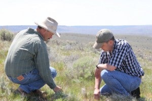 Central Oregon rancher restores sage-grouse habitat with NRCS assistance. Source: nrcs.usda.gov