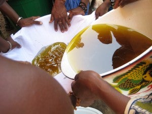 Filtering Shea Butter in Mali
