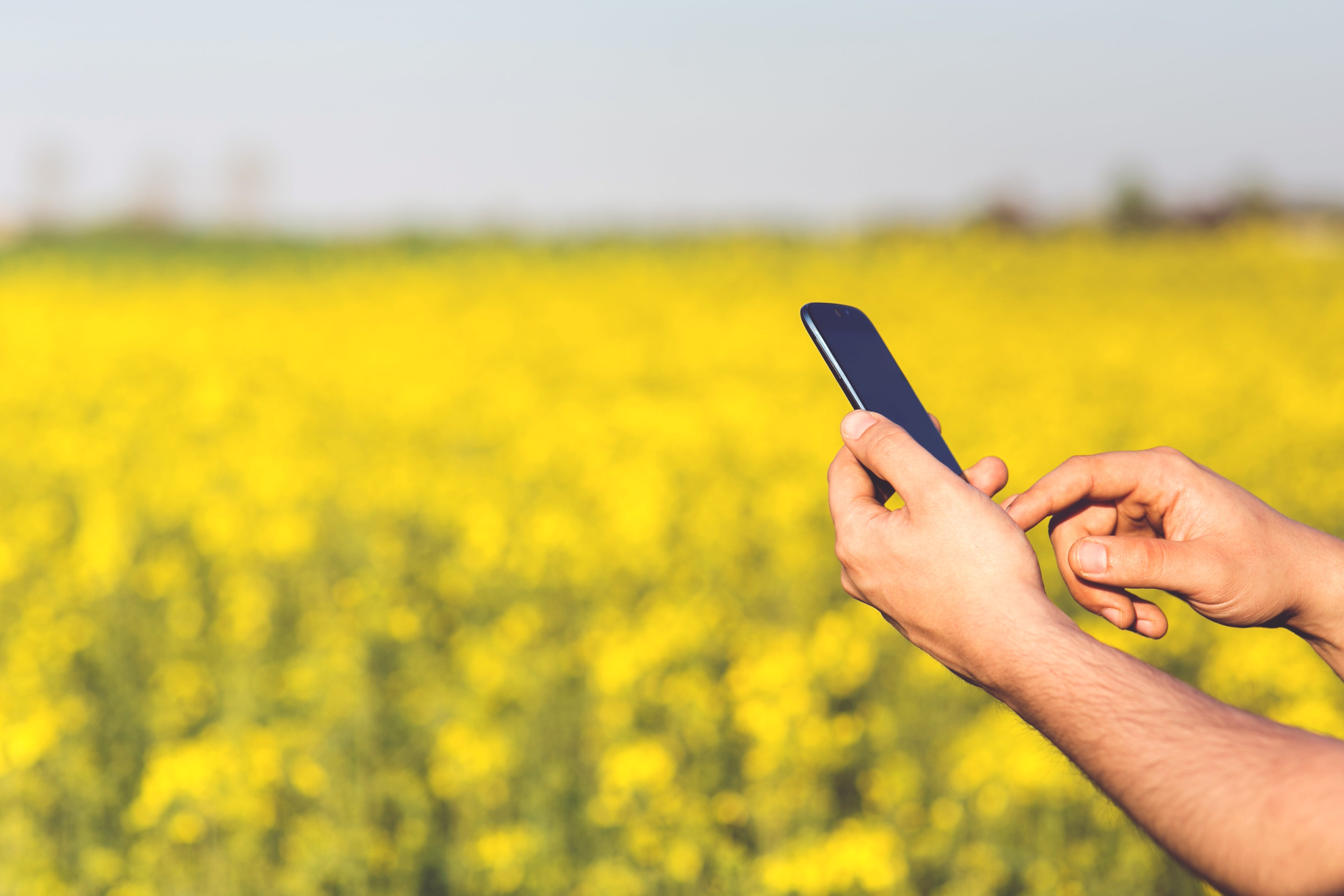 Farmer using phone