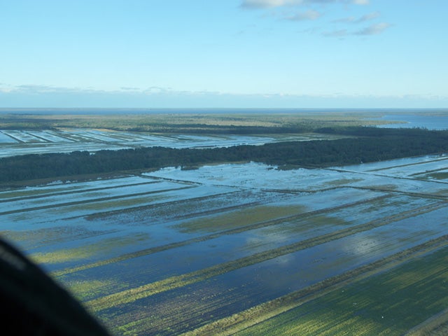 Flooded farm field. Photo: Todd Boyd, Pinetown, North Carolina