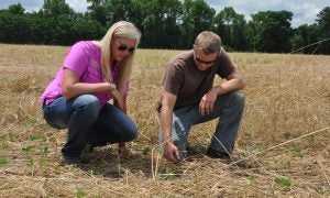 Smithfield Foods' climate goal benefits farmers and the environment 