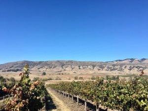 Farmers and environmentalists want the best for this vineyard
