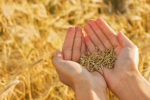 More data is needed to further prove the profitability of conservation practices 