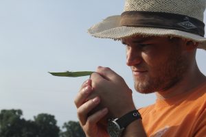 Researcher examines monarch caterpillar