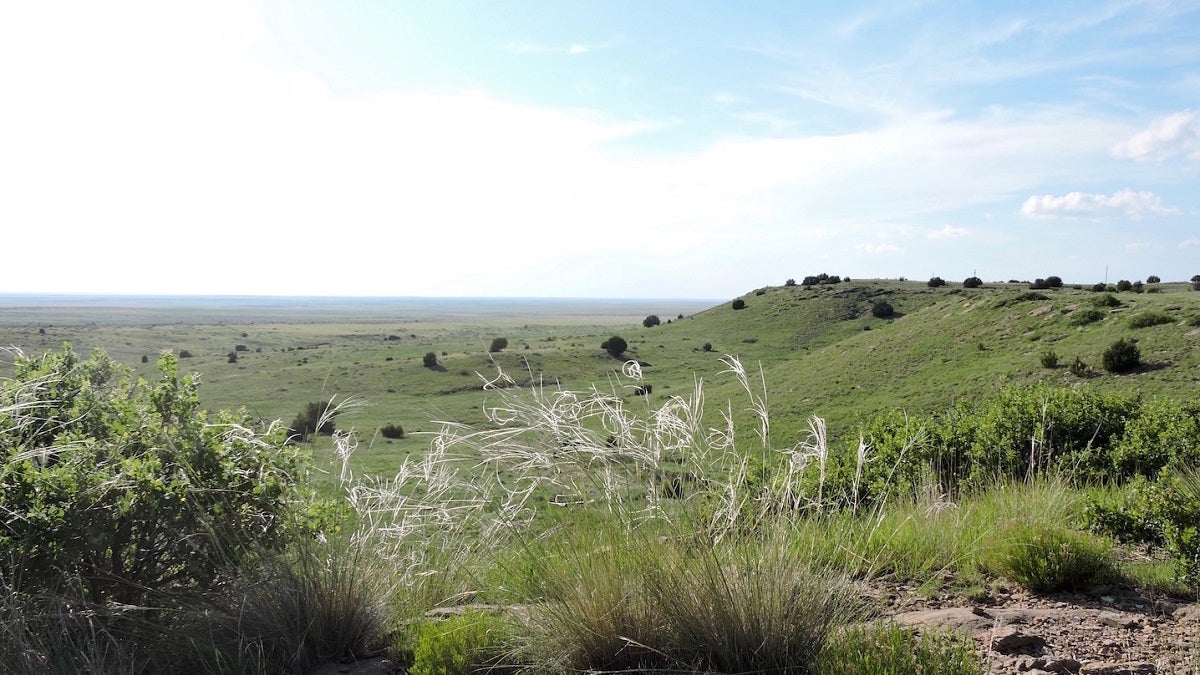 The market for grassland carbon credits is on the rise. Here’s why ...