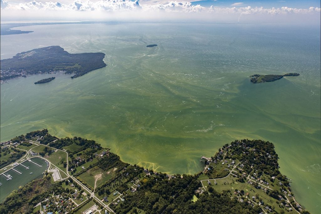 Algae bloom along Lake Erie shoreline