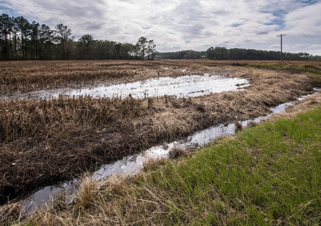 Flooded farm field in North Carolina