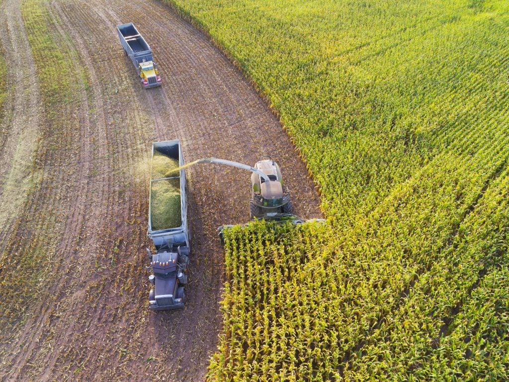 An aerial view of a combine harvests corn