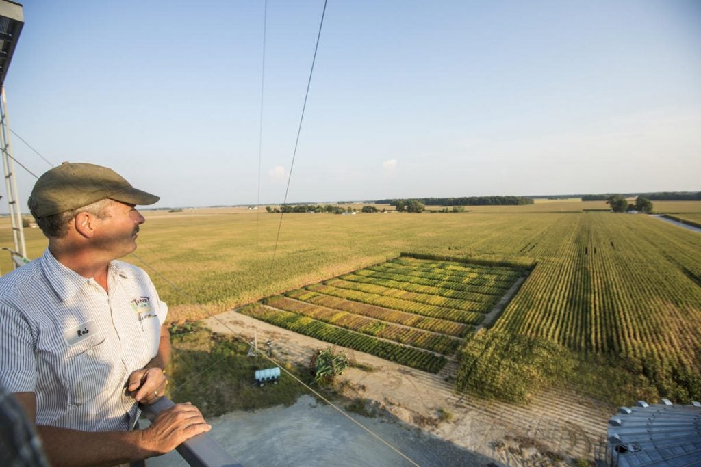 A male farmer looks out over fields of corn and soybeans. The Growing Climate Solutions Act would make it easier for farmers to generate revenue from using climate-smart practices.