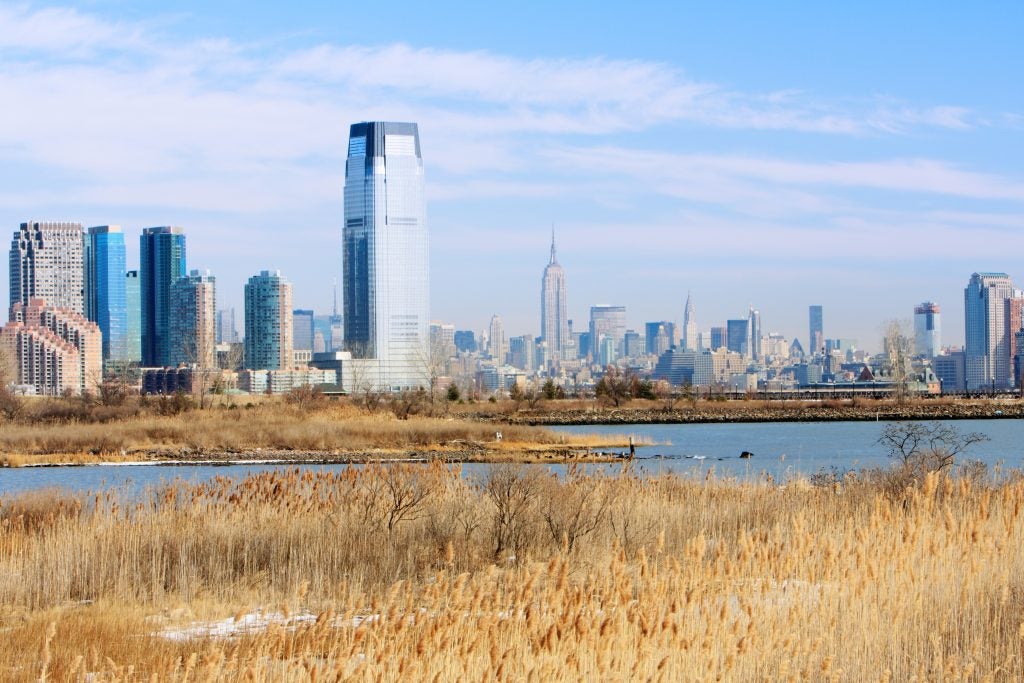 Coastal wetlands surround Manhattan skyline