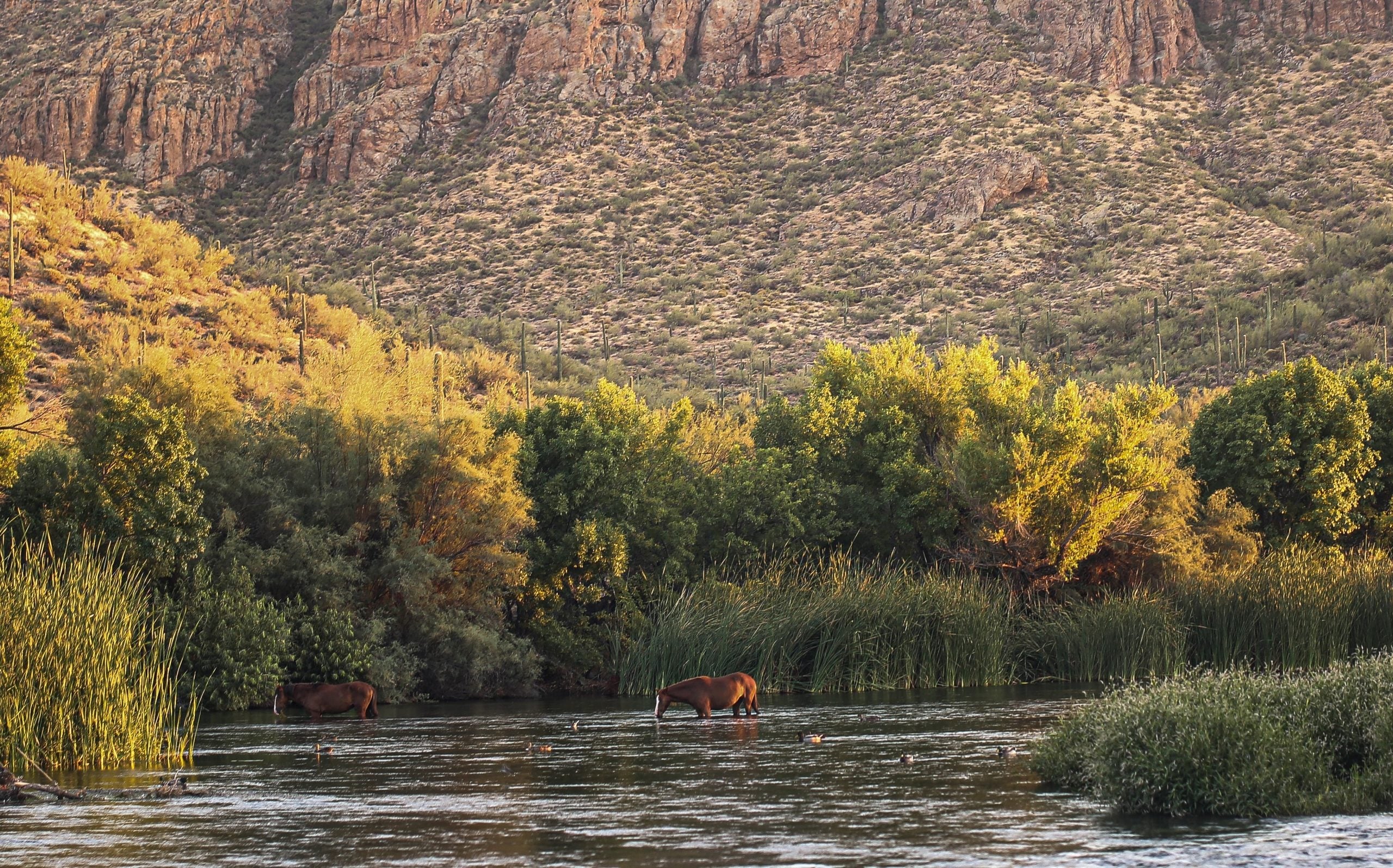 Arizona water is at a crossroads. Will the Legislature respond ...