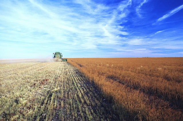 Fields in Canada being farmed.