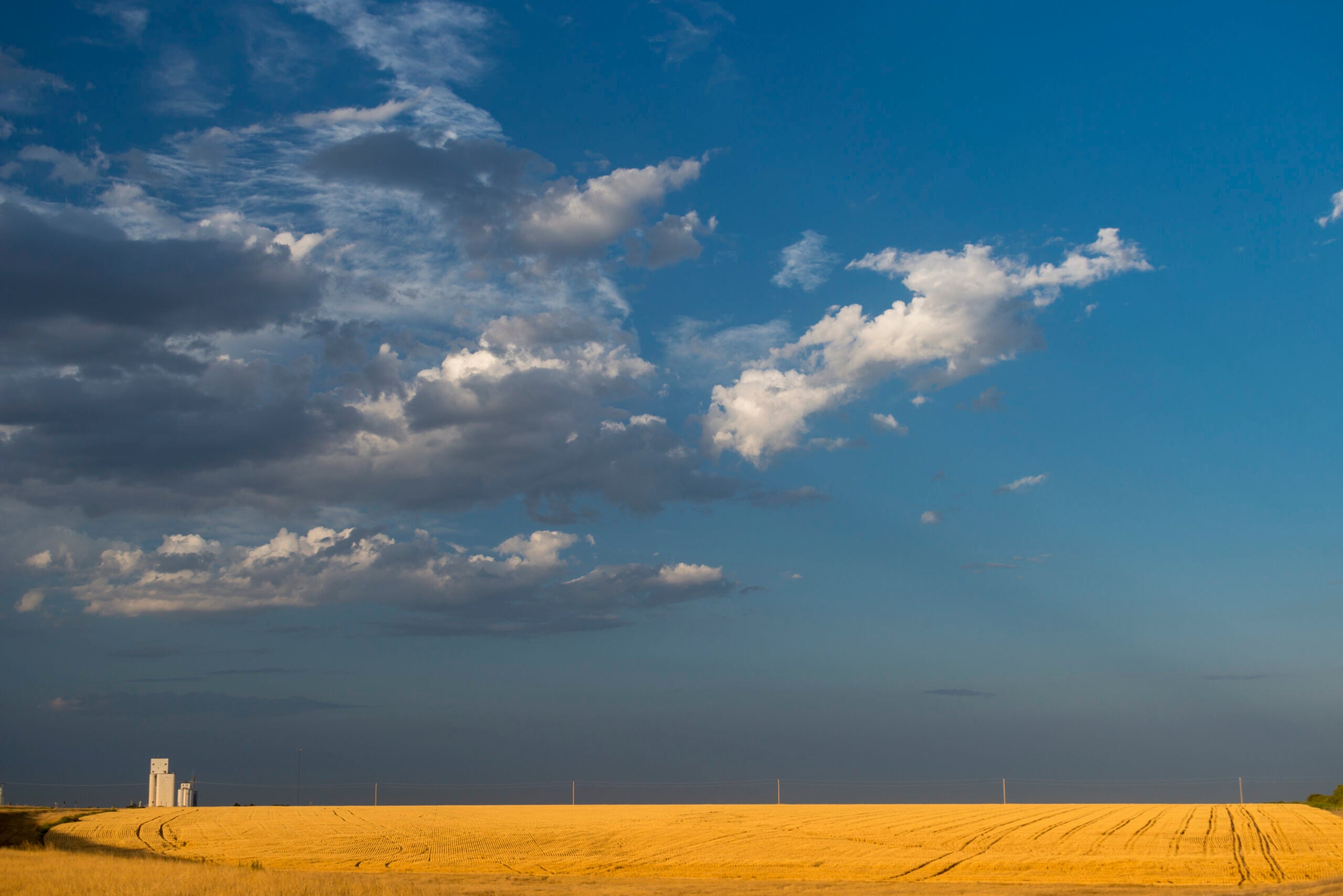 Grain silo over a golden wheat field