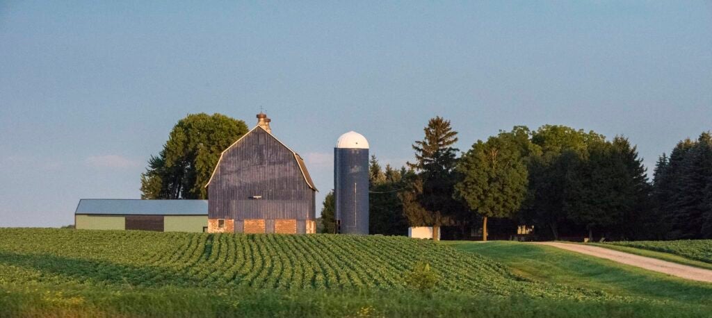 farm with a barn in the background