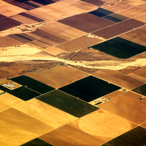 farmland during drought