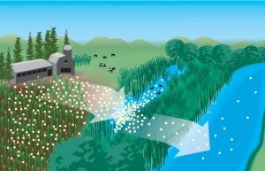 Nitrogen runoff diagrams help analyze practices that can help reduce nutrient losses