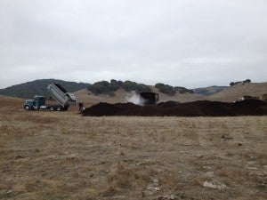 Compost on the range. Photo credit: Lynette K Niebrugge, Marin County Resource Conservation District 