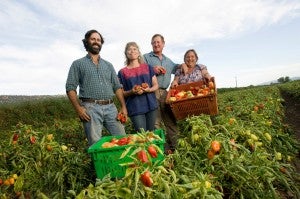 Full Belly Farm owners in the pepper field