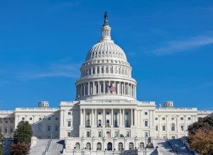 The Capitol Building