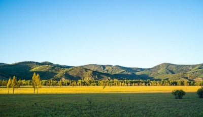 Grasslands