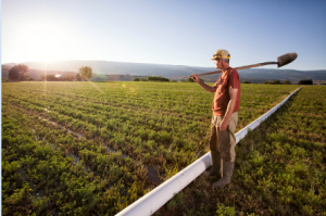 farmer photo