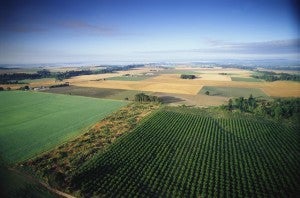 Farms greatly affect the watershed they are in 