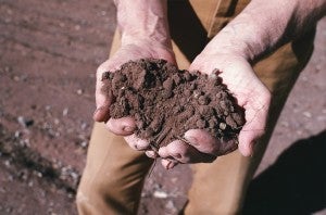 Handful of soil