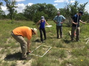 We recently tested the habitat quantification tool at Shield Ranch and will run pilot projects with Corn Belt farmers and ranchers throughout the summer. The results will support the launch of the Monarch Habitat Exchange in 2017. 