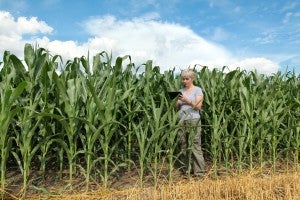 Woman in a cornfield