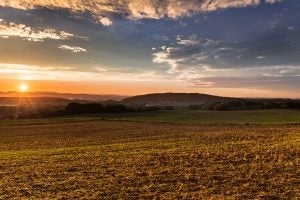 Farmers who optimize fertilizer use reduce releases to the air and water while at the same time saving money