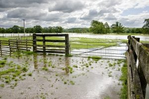 SmithfieldFoods' climate goal benefits farmers and the environment 