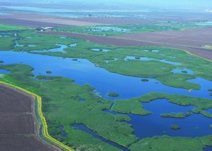 Floodplains in Butte County, CA play a crucial role in California's water management system