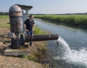 Pumping water on a rice field