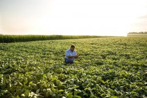 An Ohio farmer uses the latest agricultural technology.