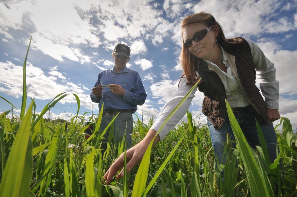 A USDA NRCS staffer works with a farmer on cover crop production.