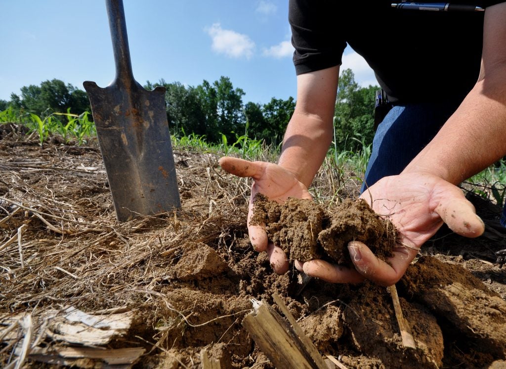 Photo of man holding soil in his hand. There is a shovel next to him planted on the ground.