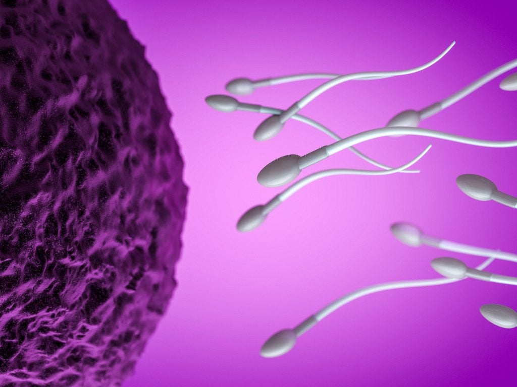Illustration of gray sperm swimming toward a dark purple egg on a light purple background