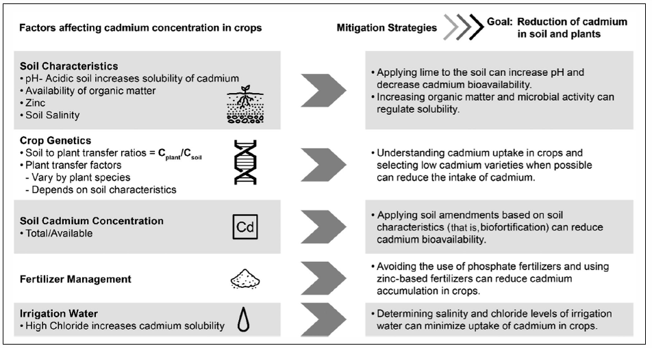 cadmium uses