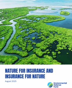 Nature and Insurance EDF report Environmental Defense Fund