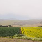 California’s new Multibenefit Land Repurposing Program is already oversubscribed. Here are 3 features of successful applications.