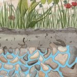 Welcome to the first edition of On the Water Front, the new blog and newsletter of EDF’s Water Program