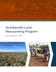 MLRP Annual Report 2025 Cover