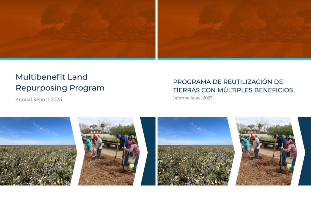 MLRP Annual Report covers in English and Spanish