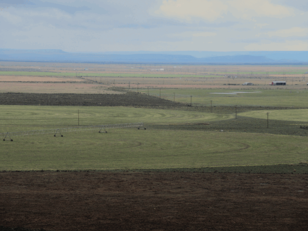 Harney Basin agricultural field