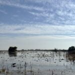 Fields of Innovation: A Trip Showcasing Multi-Benefit Land Repurposing