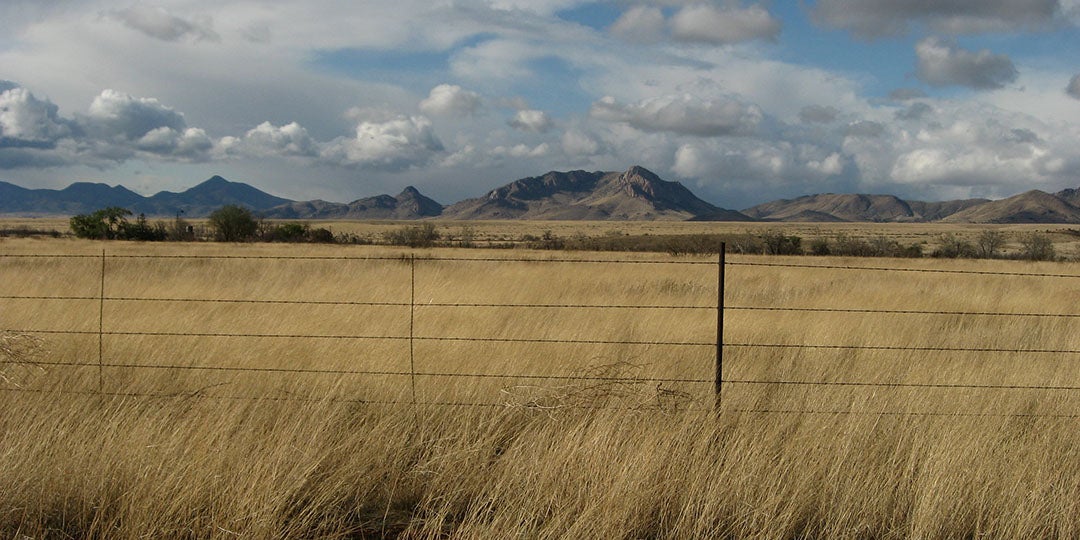 a tan field with mountains in the background.