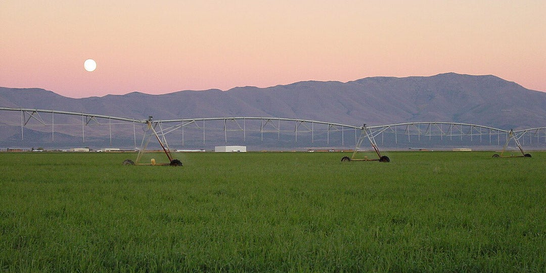 Center pivot on green field at sunset with mountains and moon in background.