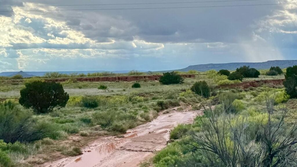 Esatern New Mexico scrub land