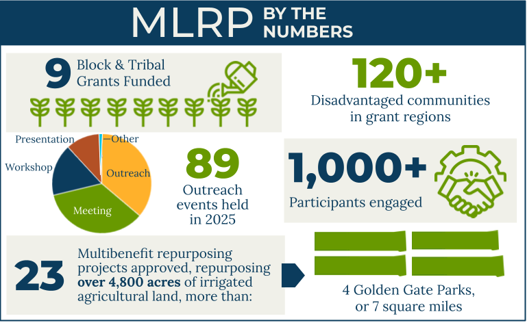 MLRP By the Numbers Infographic